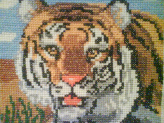 Работа «Тигра мой)»