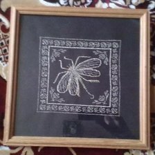 Работа «Стрекоза»