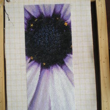 Работа «№12725»