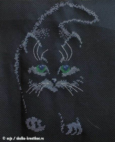 Работа «чёрный кот»