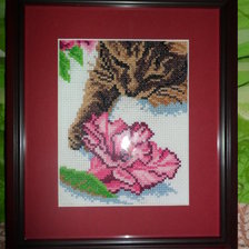 Работа «кот с цветком»