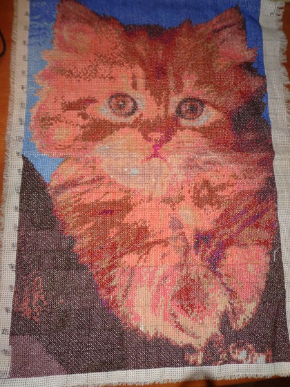 Работа «Котенок»