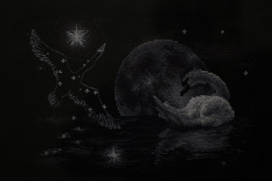 Работа «Лебединая ночь»