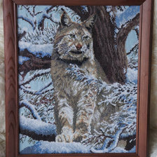 Работа «Сибирская рысь»