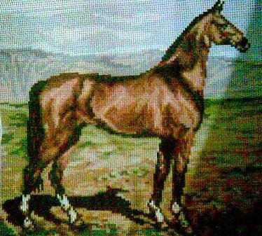 Работа «Лошадь»