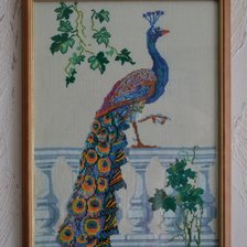 Работа «павлин»