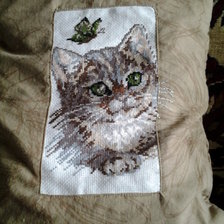 Работа «Котенок»