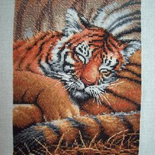 Работа «...»