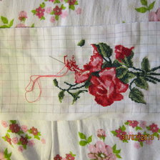 Работа «Рози»