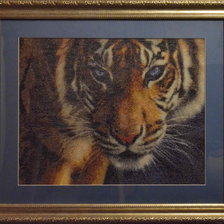 Работа «Взгляд»