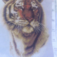 Работа «тигр»