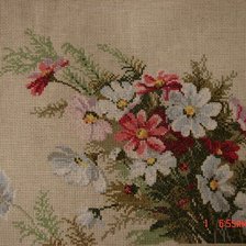 Работа «Космеи»