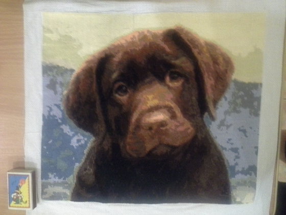 Работа «лабрадорчик»