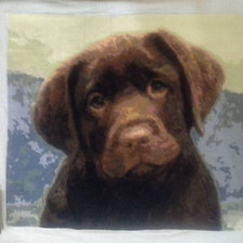 Работа «лабрадорчик»