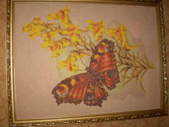 Работа «бабочка1»