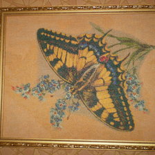 Работа «бабочка2»