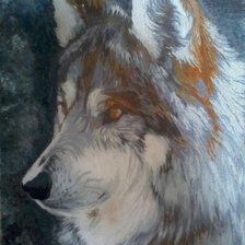 Работа «весьегонская волчица»