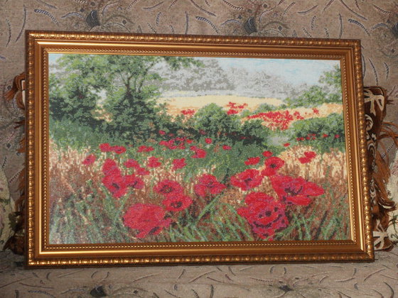 Работа «Маковое поле 264х168 клеток.»