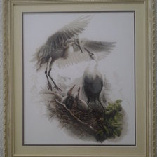 Работа «Чаплі»