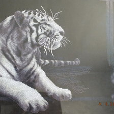 Работа «Тигра»