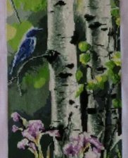 Работа «bereza»