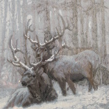 Работа «олени в зимнем лесу»