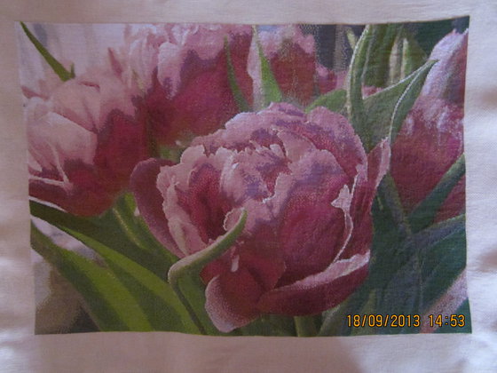 Работа «Тюльпан кудрявый»