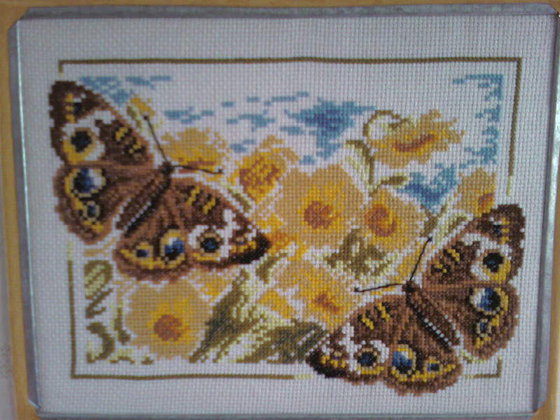 Работа «Бабочки»