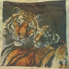 Работа «тигриная любовь»
