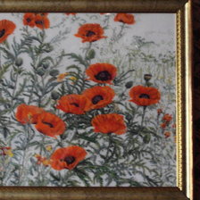 Работа «Маки»