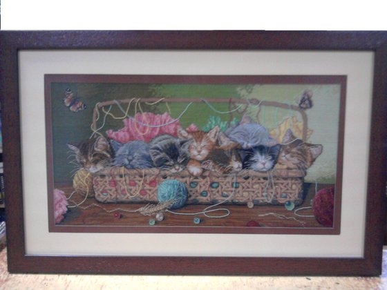 Работа «котята»