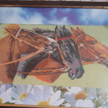 Работа «Кони»