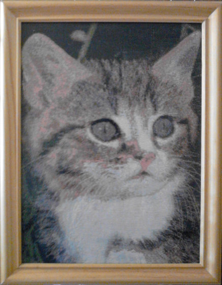 Работа «Котенок»