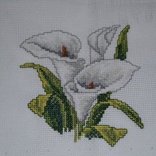 Работа «мини-калла»