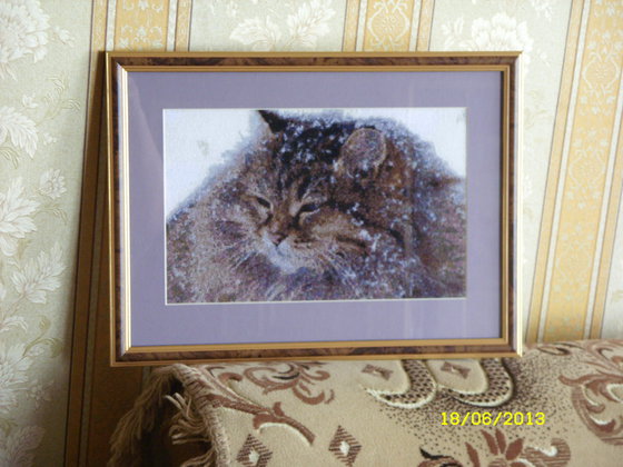 Работа «Кот под снегом»