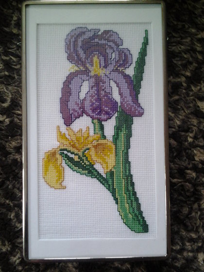 Работа «ирис»