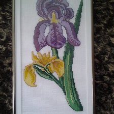 Работа «ирис»