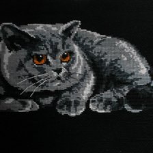 Работа «Кот по имени Клод»