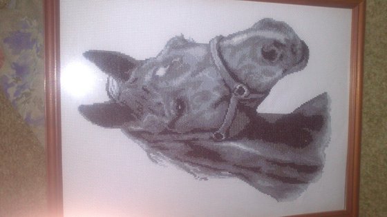 Работа «№19000»