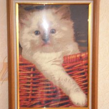 Работа «Киса»