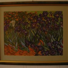 Работа «Irysy wg. V. Van Gogha»