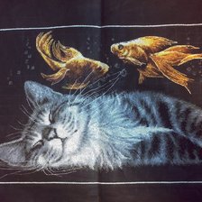 Работа «№19228»