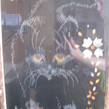 Работа «Кот»