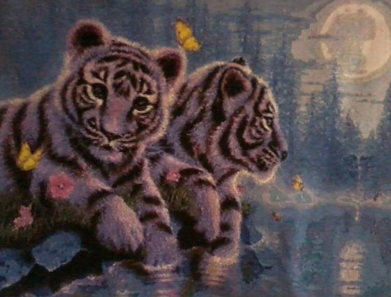 Работа «тигры»