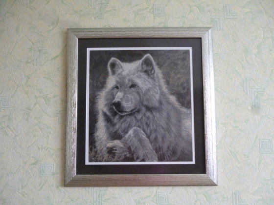 Работа «Волк.»