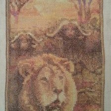 Работа «триптих африка»