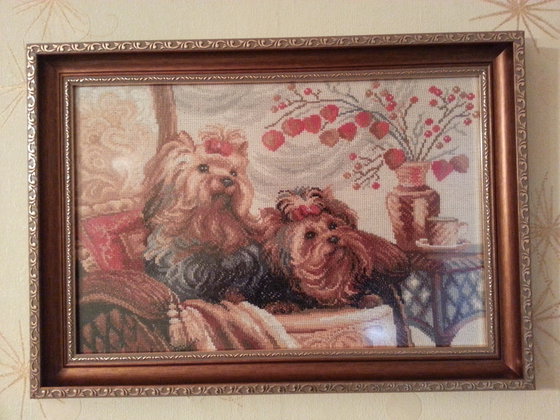 Работа «Йорки в оформлении»