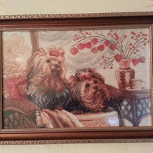 Работа «Йорки в оформлении»