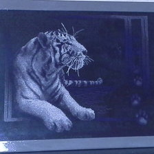 Работа «белый тигр»