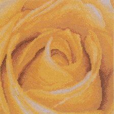 Работа «Роза желтая»